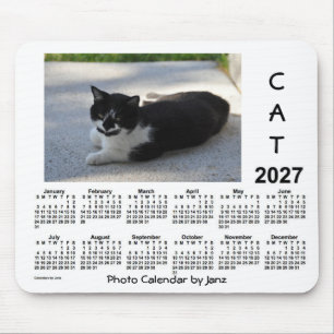 2027 Sassy Cat Photo Calendar av Janz Musmatta