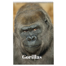 2027 Signature SloggerVlogger Gorilla Familj Kalender