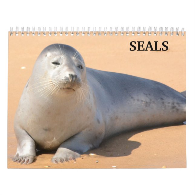 2027 Sjölejon Sälar Kalender (Omslag)