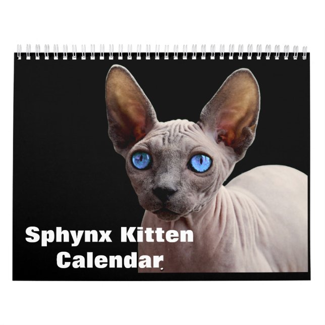 2027 Sphynx kattunge Kalender (Omslag)