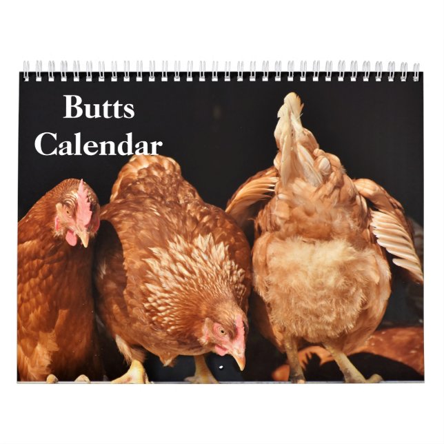 2027 Stjärten Kalender (Omslag)