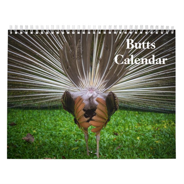 2027 stjärten kalender (Omslag)