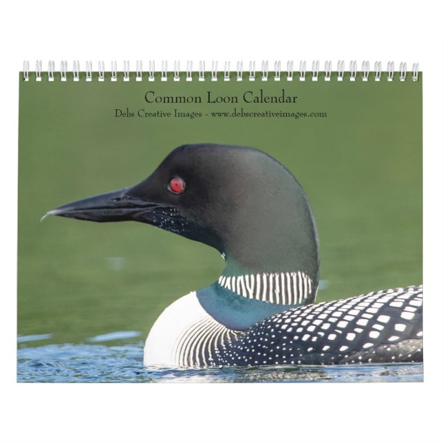 2027 Storlommar | Adirondack-sjöfotografering Kalender (Omslag)