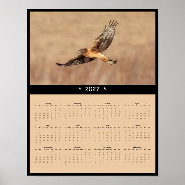 2027 Strängharskalender - Vit övergump Poster (Framsidan)