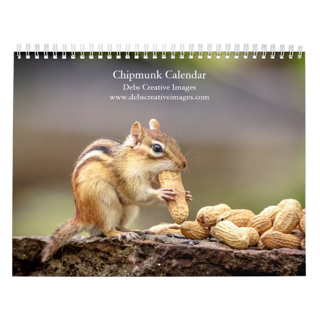 2027 Ticonderoga Chipmunks | Adirondack Wildlife Kalender (Omslag)