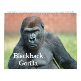 2027 Tidlös Lope Svartbackad Gorilla Kalender