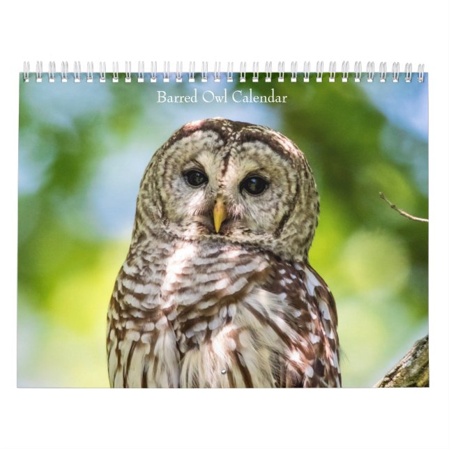 2027 Ugglor | Skogens Mysterier Kalender (Omslag)