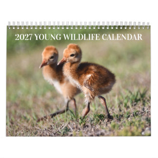 2027 Ung Vilda Djur Kalender