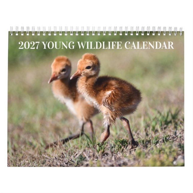 2027 Ung Vilda Djur Kalender (Omslag)