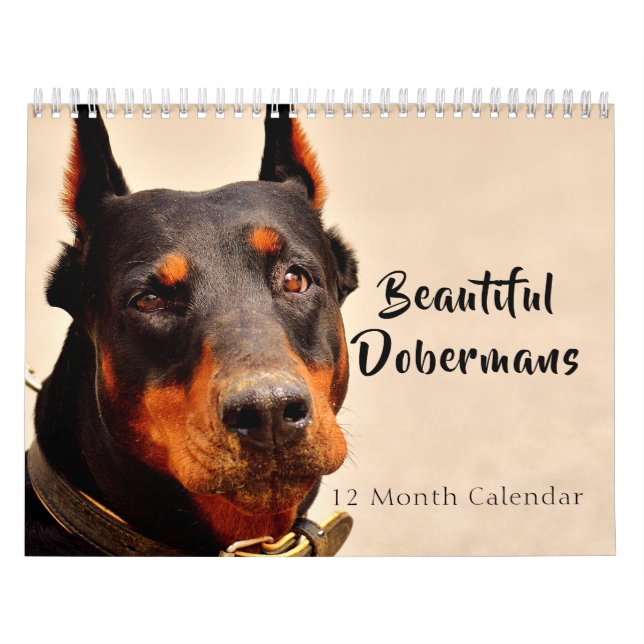 2027 Vackra Dobermann Kalender (Omslag)