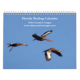 2027 Vackra Fåglar i Florida | Vilda Livs Bilder Kalender