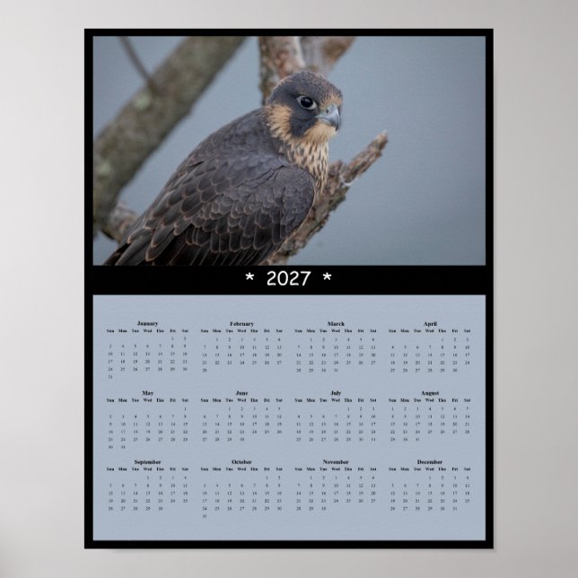 2027 Vandfalksväggkalender Poster (Framsidan)