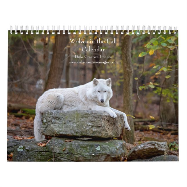 2027 Vargar på Hösten | Höst Varg Fotografi Kalender (Omslag)