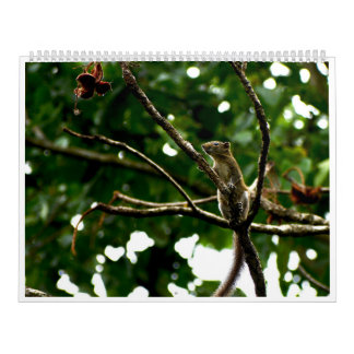 2027 Vilda djur Fotokalender Kalender