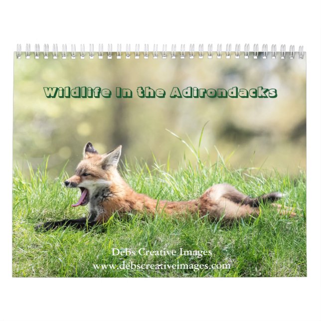 2027 Vilda djur i Adirondacks | Natur Kalender (Omslag)