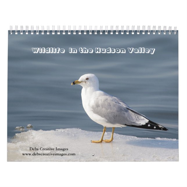 2027 Vilda djur i Hudson Valley | Natur  Kalender (Omslag)