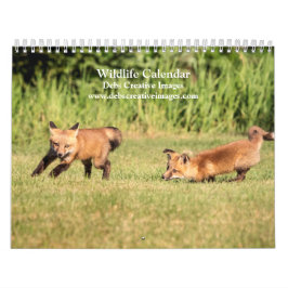 2027 Vilda djur i nordost, Naturfotografi Kalender