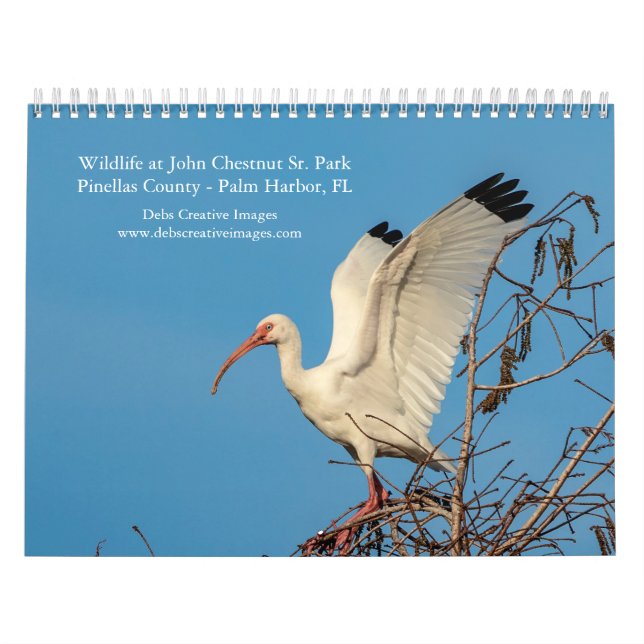 2027 Vilda djur på John Chesnut Sr. Park | Florida Kalender (Omslag)