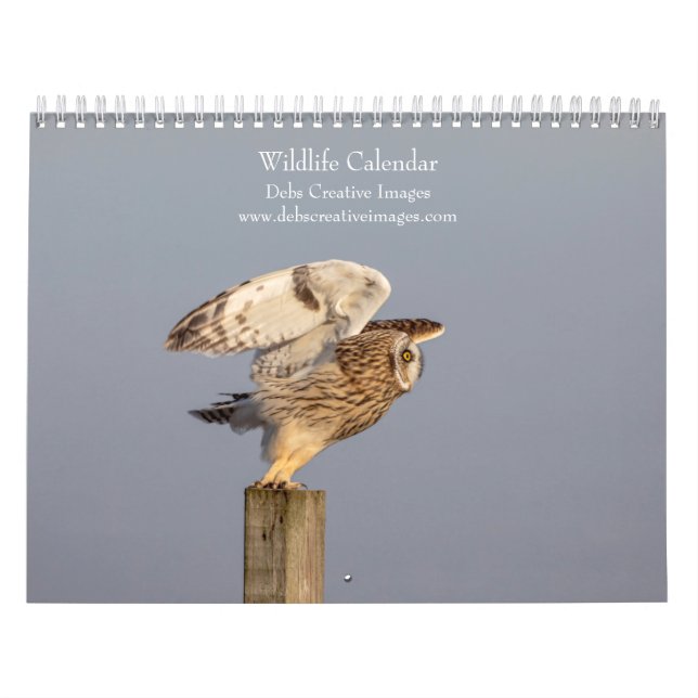 2027 Wildlife Adventures | Naturfotografering Kalender (Omslag)