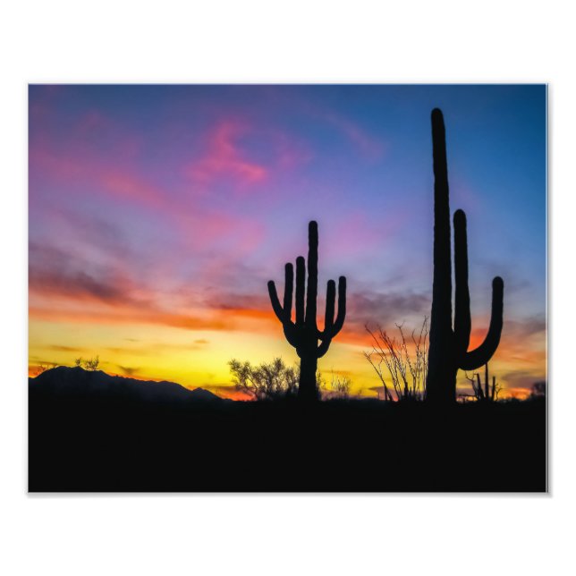 2034-2-Arizona Desert at Sunset with Cactus Fototryck (Framsidan)