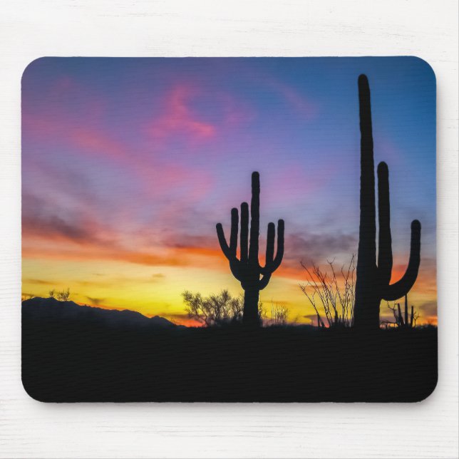 2034-2-Arizona Desert at Sunset with Cactus Musmatta (Framsidan)