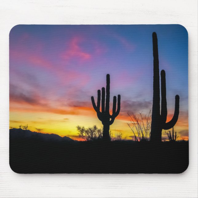2034-2-Arizona Desert at Sunset with Cactus Musmatta (Framsidan)