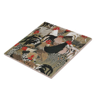 20 群 鶏, 若 Tuppar, Jakuchu, Japan Art. Kakelplatta
