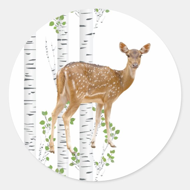 20-1.5 Kuvert Seal Hjort Doe Buck Woodland Hun Runt Klistermärke (Framsida)