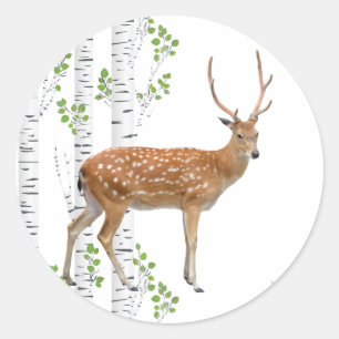 20-1.5 Kuvert Seal Hjort Doe Buck Woodland Runt Klistermärke