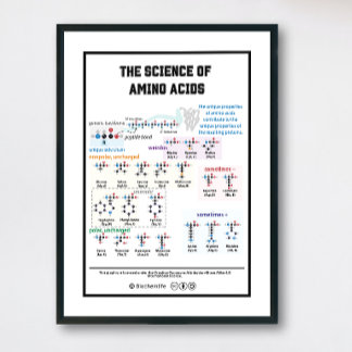 20 aminosyror med dess egenskaper poster