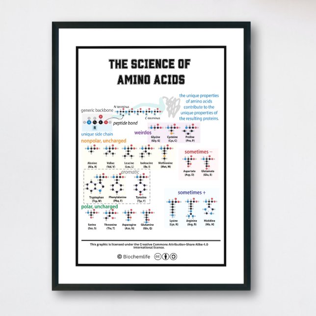 20 aminosyror med dess egenskaper poster (Poster with Black frames with white matte)