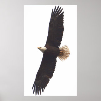 20 april 2025 poster