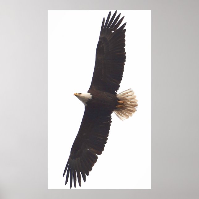 20 april 2025 poster (Framsidan)