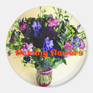 20:e bilder i huset 095. Fleming fl... Magnet