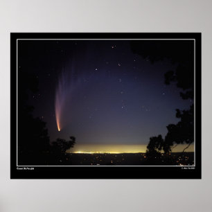 20 grader stoft Svan Poster