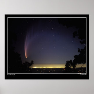 20 grader stoft Svan Poster