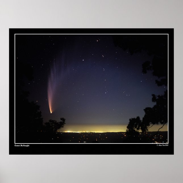 20 grader stoft Svan Poster (Framsidan)