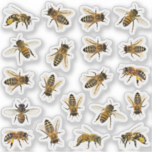 20 Realistiskt biobaserade stickers Klistermärken
