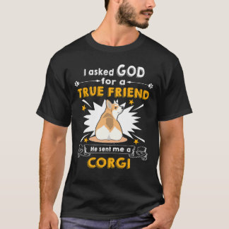 20 skickade han en Corgi till mig T Shirt