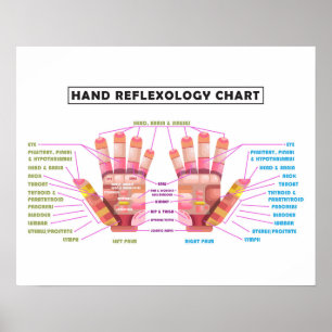 20-tums x 16-tums Poster handreflexologi