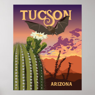 20"x16" Fladdermus och Saguaro Sunset Poster