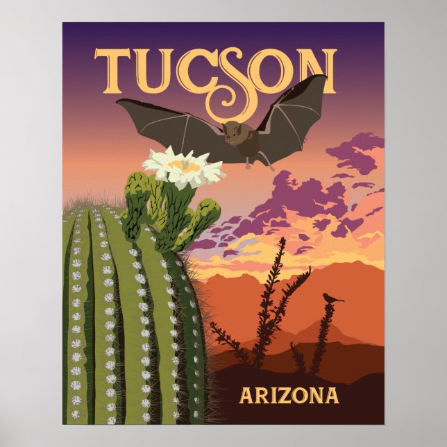 20"x16" Fladdermus och Saguaro Sunset Poster (Framsidan)