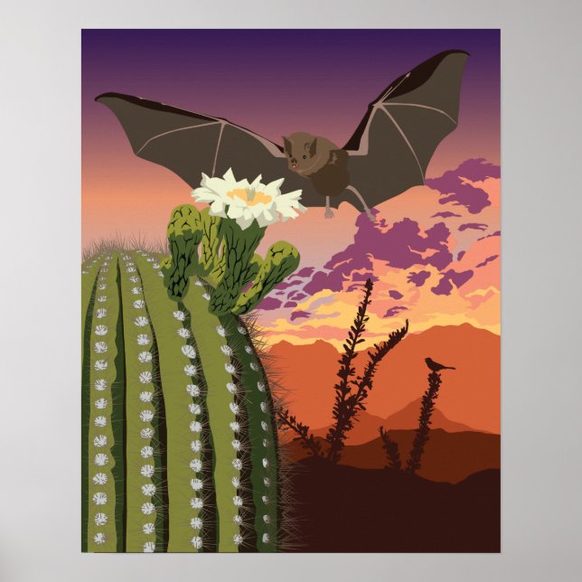20"x16" sydvästra Fladdermus och Saguaro Poster (Framsidan)
