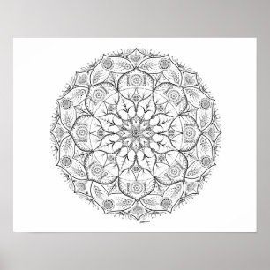20" x 16", mandalaen pricker (den Matte) Poster