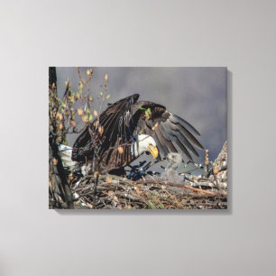 20 x 16 Örn med hennes baby Canvastryck