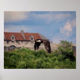 20 x 16 Örn som passerar Fort Ticonderoga Poster