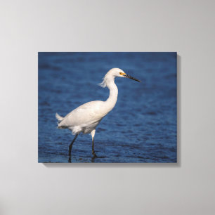 20 x 16 snögret på norra stranden canvastryck