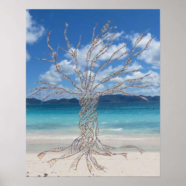 20 x 16 tum, Poster Pappert (projektionsyta) (Framsidan)