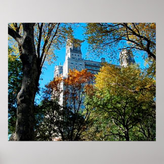 20 x 16 tum, Poster Pappert (projektionsyta)