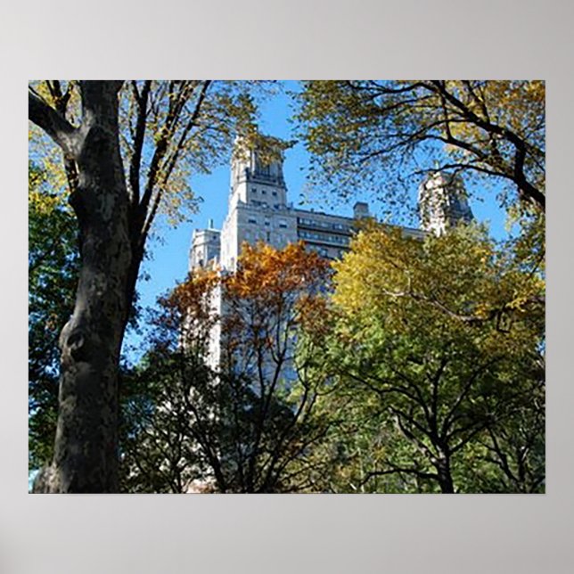 20 x 16 tum, Poster Pappert (projektionsyta) (Framsidan)